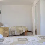 度假居 Alexa & Ella House *